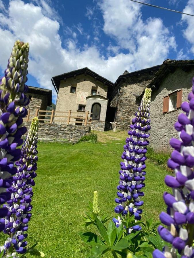 Casa Alpina San Luigi Hotel Campodolcino Exterior photo